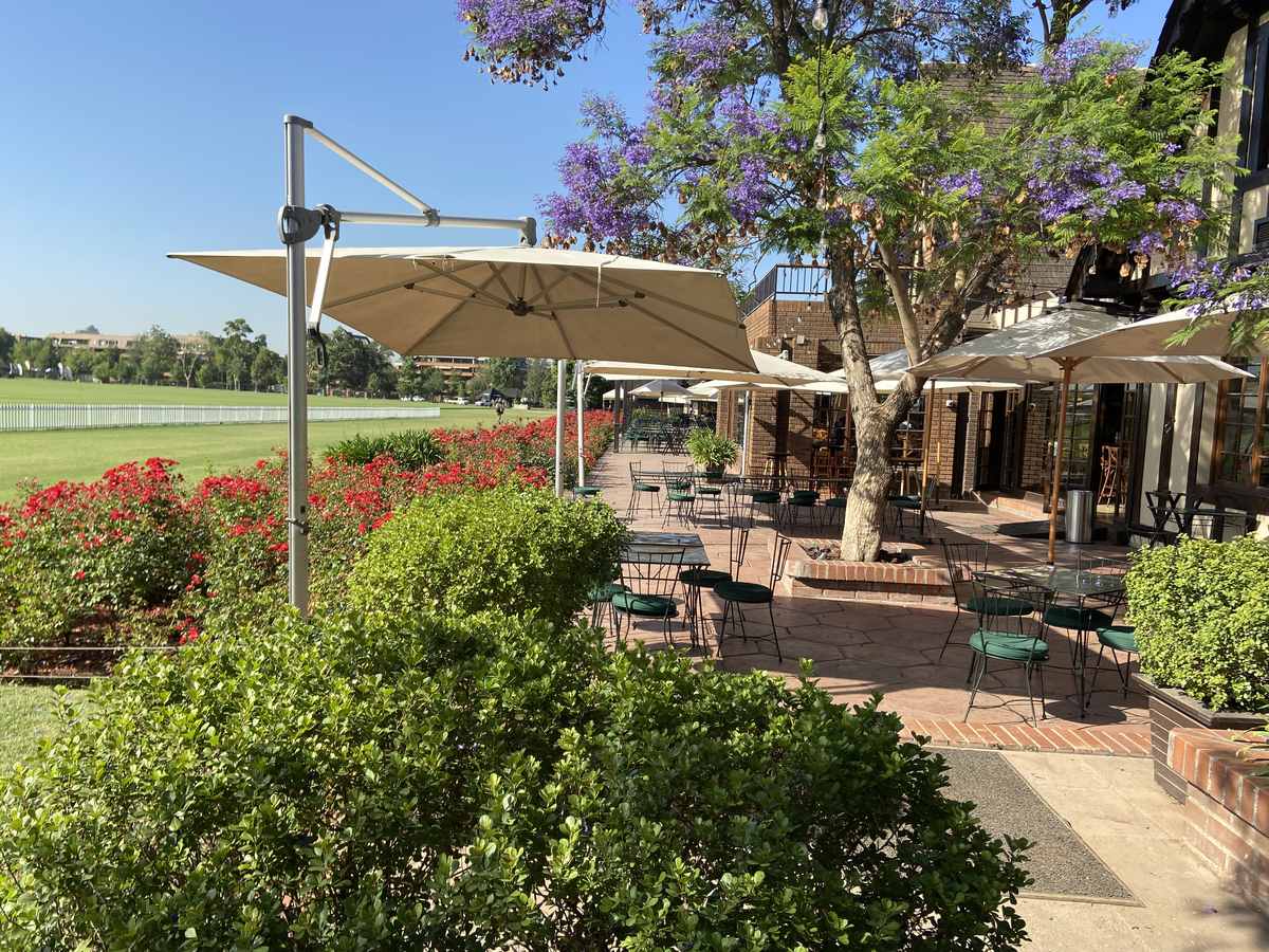 Terraza del Club de Polo y Equitación San Cristóbal bajo arbolado maduro y jacarandá en flor