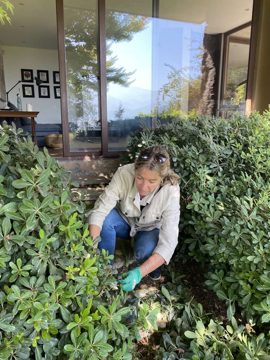 Constanza Cazebonne, paisajista y socia fundadora de CV Paisajismo, trabajando en un macizo de un jardín de casa particular
