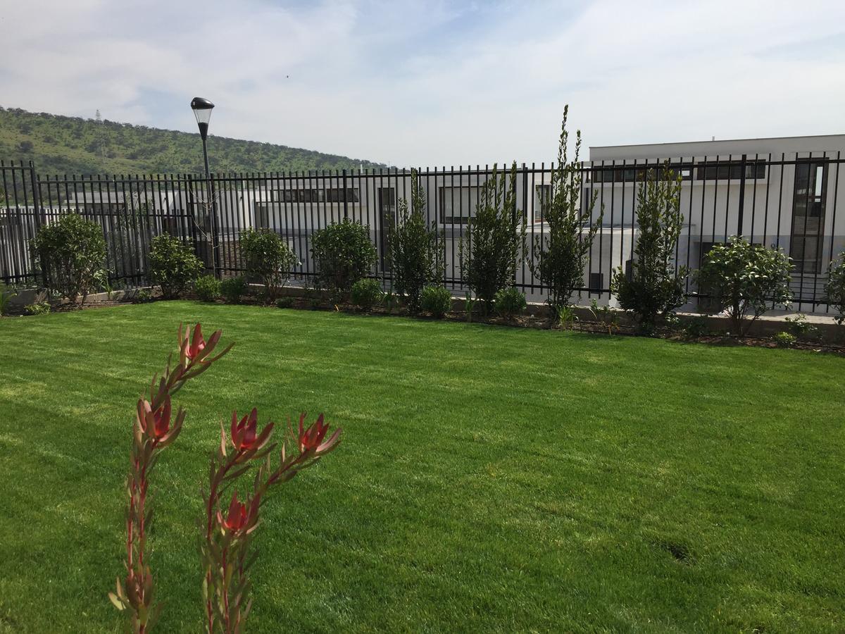 El mismo jardín ya terminado, con pasto establecido y arbustos plantados