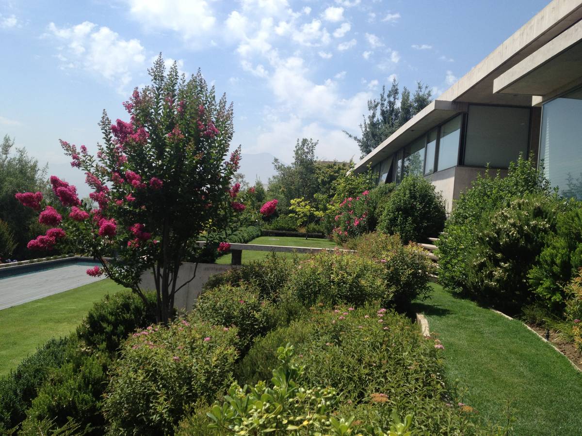 Jardín de casa particular en Lo Barnechea con crespones en flor y piscina
