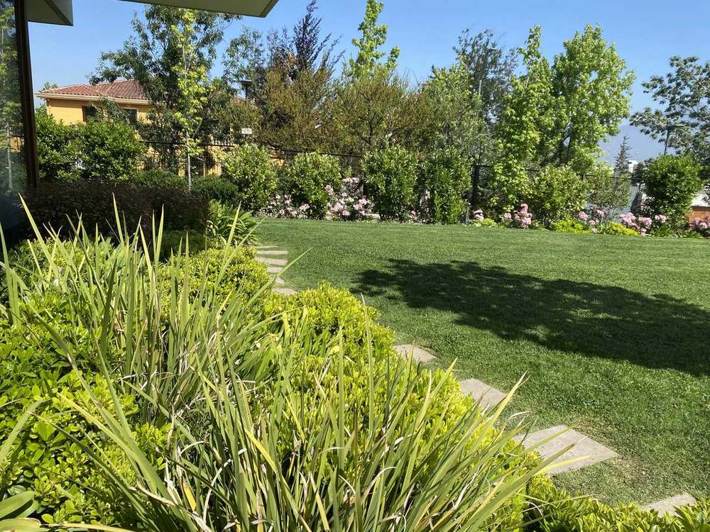 Pradera bordeada de gramíneas en el jardín de una casa en Santiago