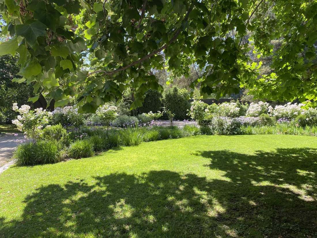 Jardín de sombra con pradera y árboles maduros en Santiago