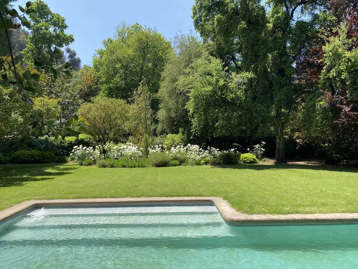 Piscina rodeada de jardín en una casa particular de Santiago