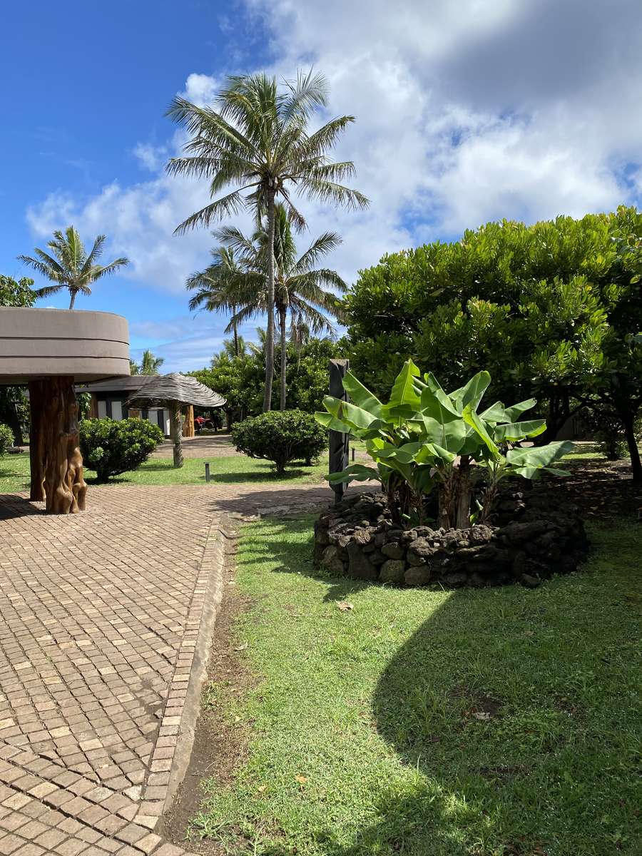 Sendero de adoquines entre palmeras y pasto en el jardín del Hotel Nayara Hangaroa, Rapa Nui