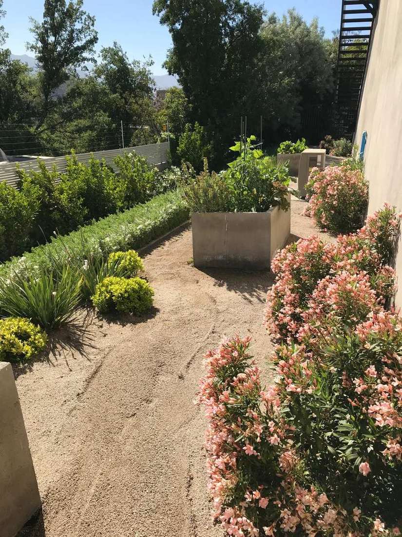 Jardín construido en Lo Barnechea, fotografiado cuatro años después