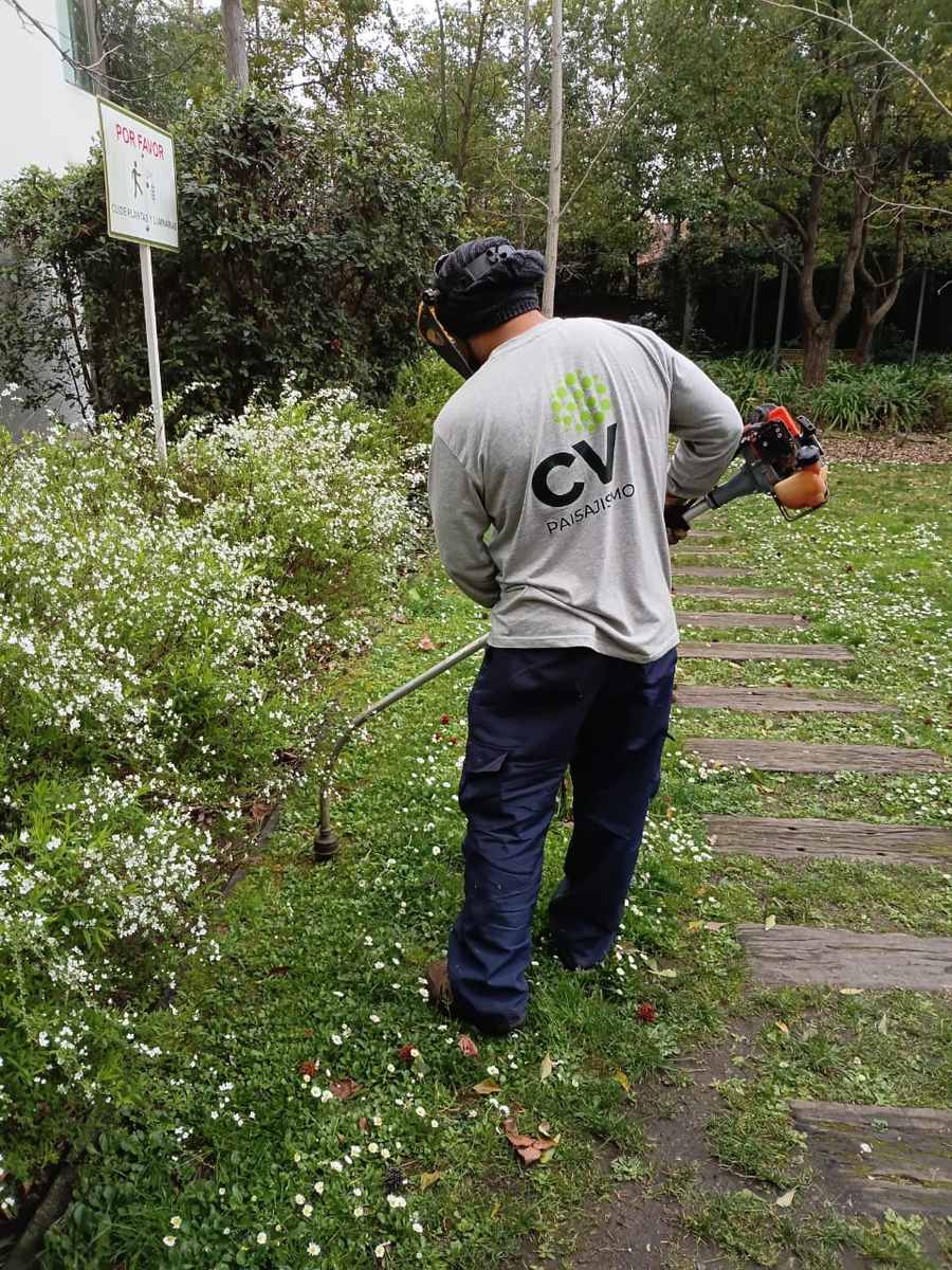 Jardinero de CV Paisajismo con uniforme de la empresa desmalezando un sendero de jardín