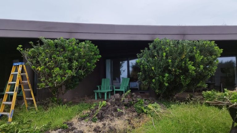 Trabajo de poda en altura con escalera durante la mantención del jardín del Hotel Nayara Hangaroa, Isla de Pascua