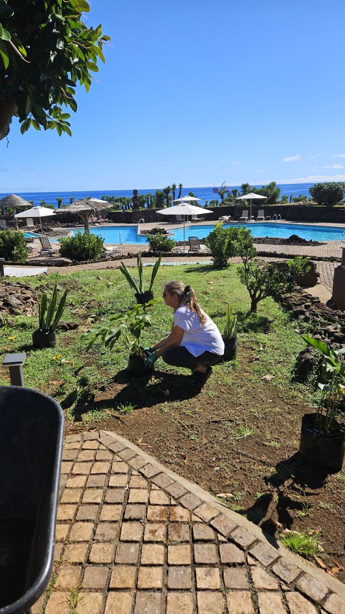 Constanza Cazebonne, paisajista y socia fundadora de CV Paisajismo, plantando en el jardín del Hotel Nayara Hangaroa, con la piscina y el mar al fondo