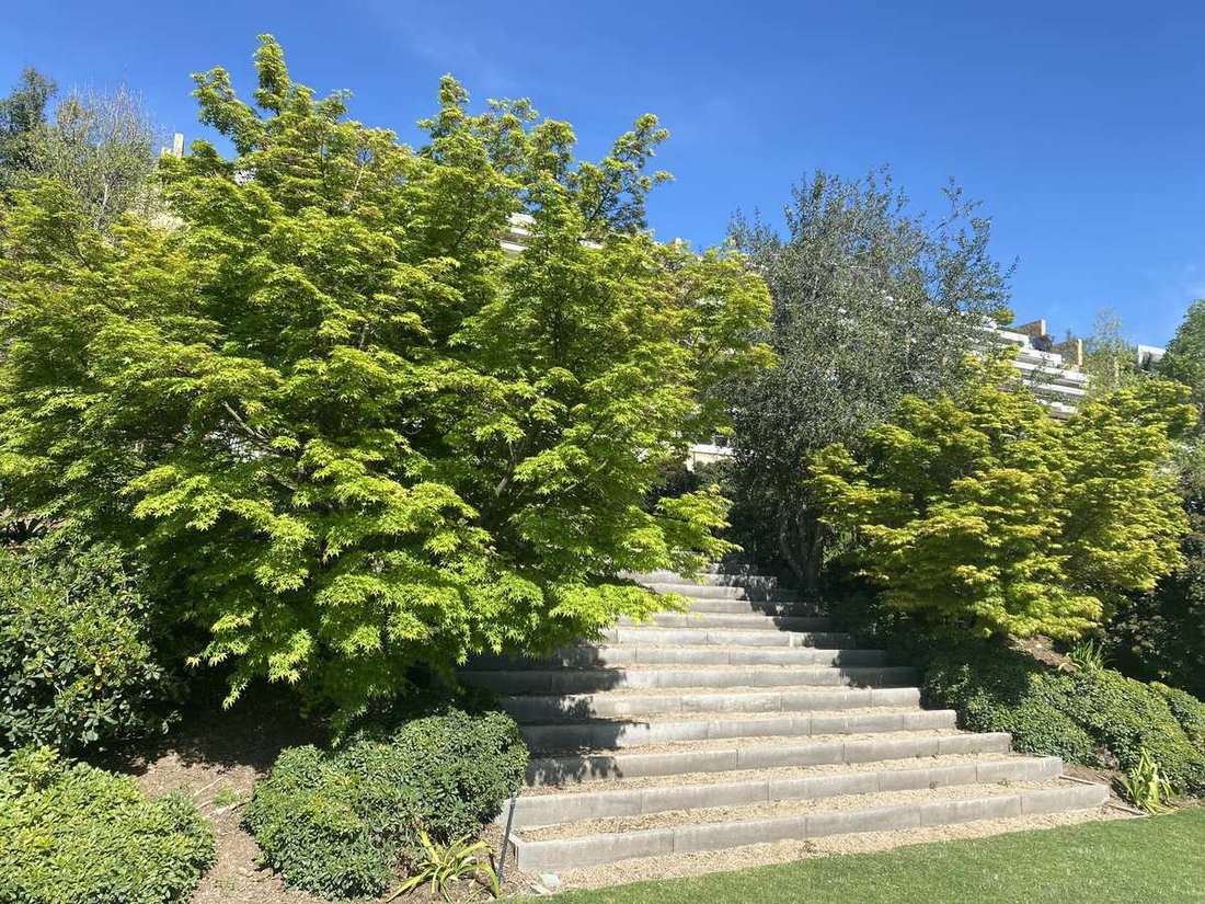 Escalera de piedra entre arbolado en un condominio de Lo Barnechea