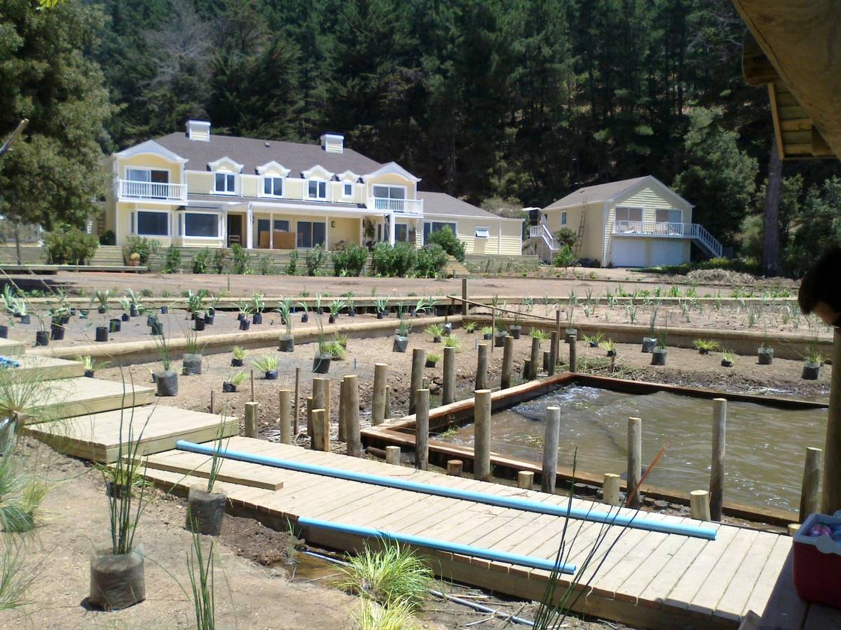 Obra de jardín en ejecución: laguna, deck de madera y plantas en bolsa antes de plantar
