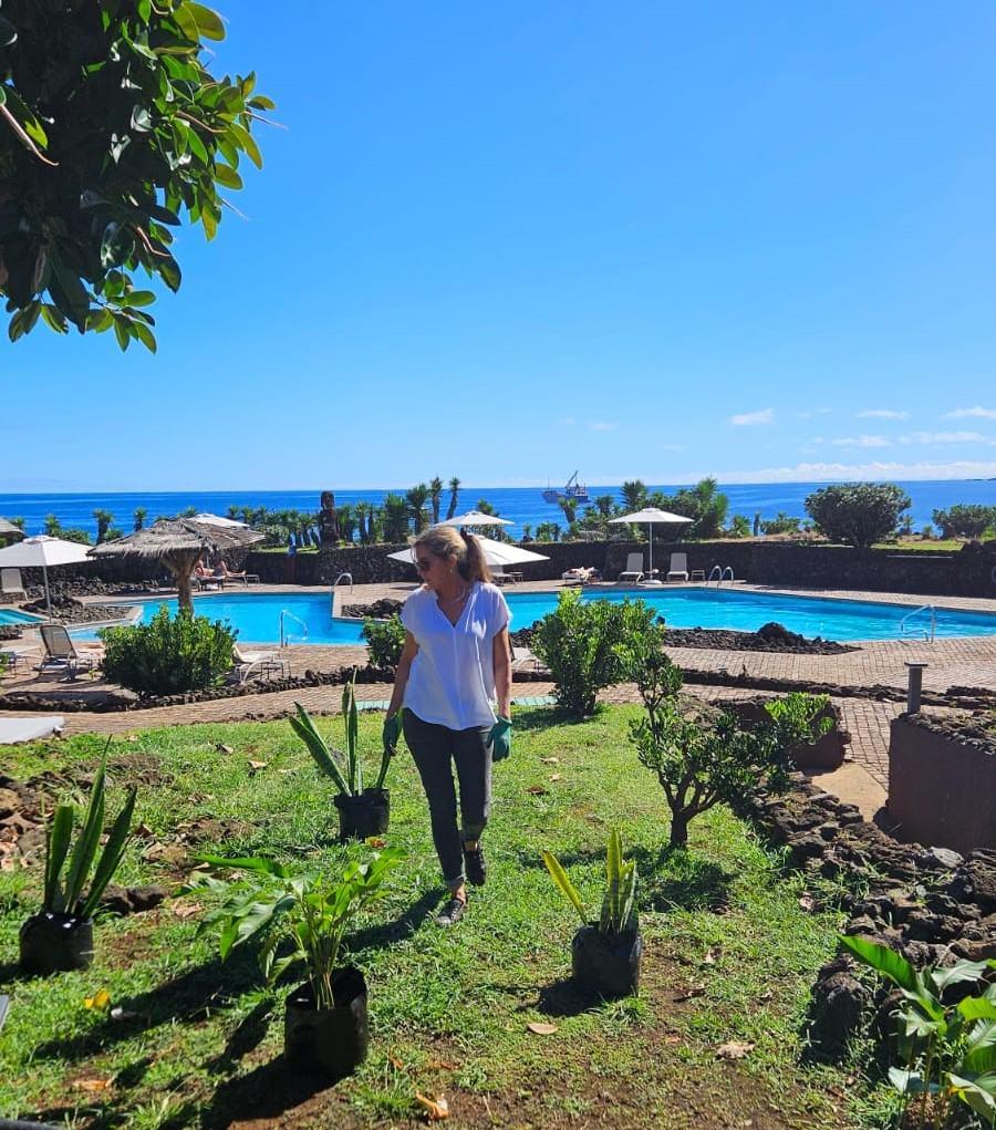 Paisajista de CV Paisajismo plantando junto a la piscina del hotel Nayara Hangaroa, Rapa Nui