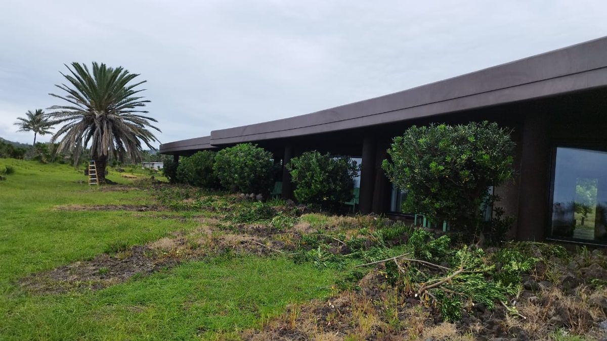Arbustos después de la poda de formación frente a las habitaciones del hotel Nayara Hangaroa, Rapa Nui